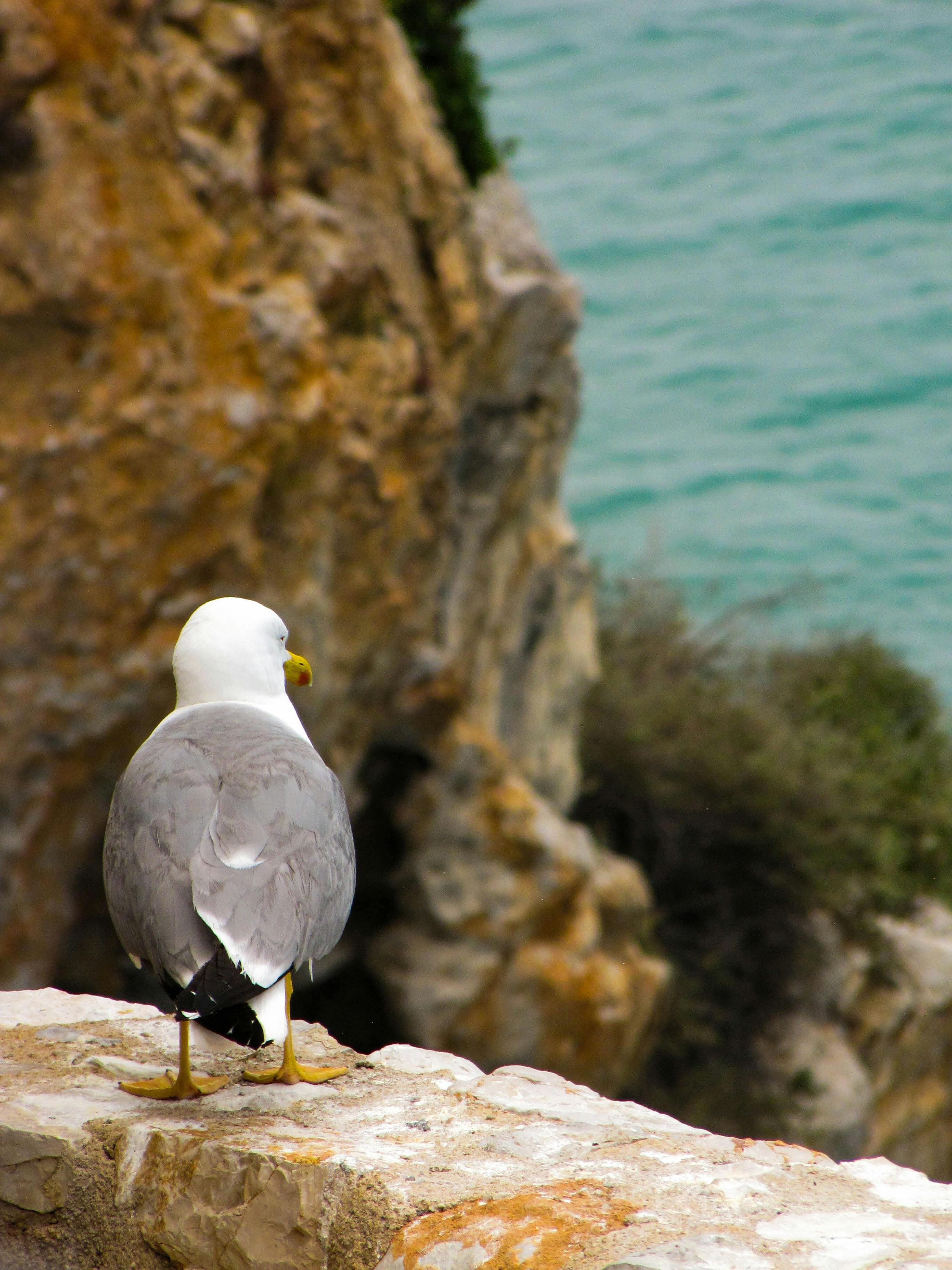 Example photo before cleaning